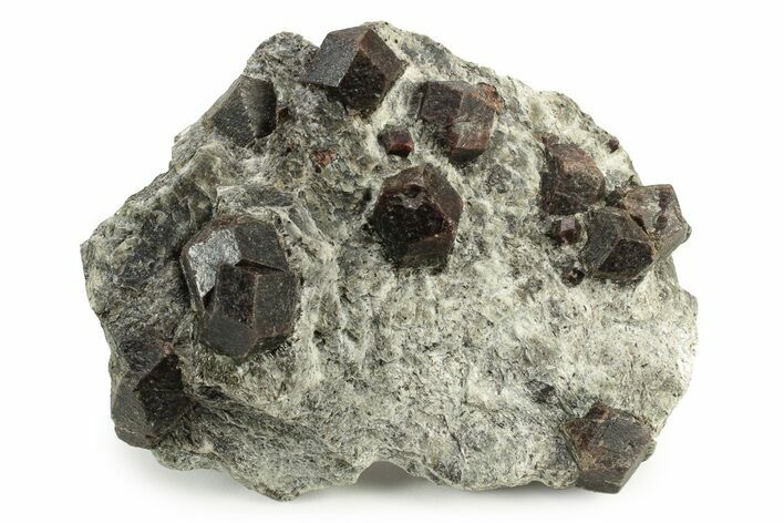 Red Almandine Garnets in Schist - Tyrol, Austria #243269